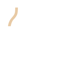 extrabrut logo